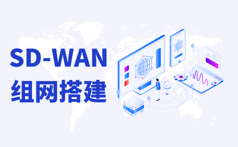企业SD-WAN异地组网 - 设备部署 - 专线网络 - 解决方案